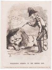 WELLINGTON STIRRING UP THE BRITISH LION